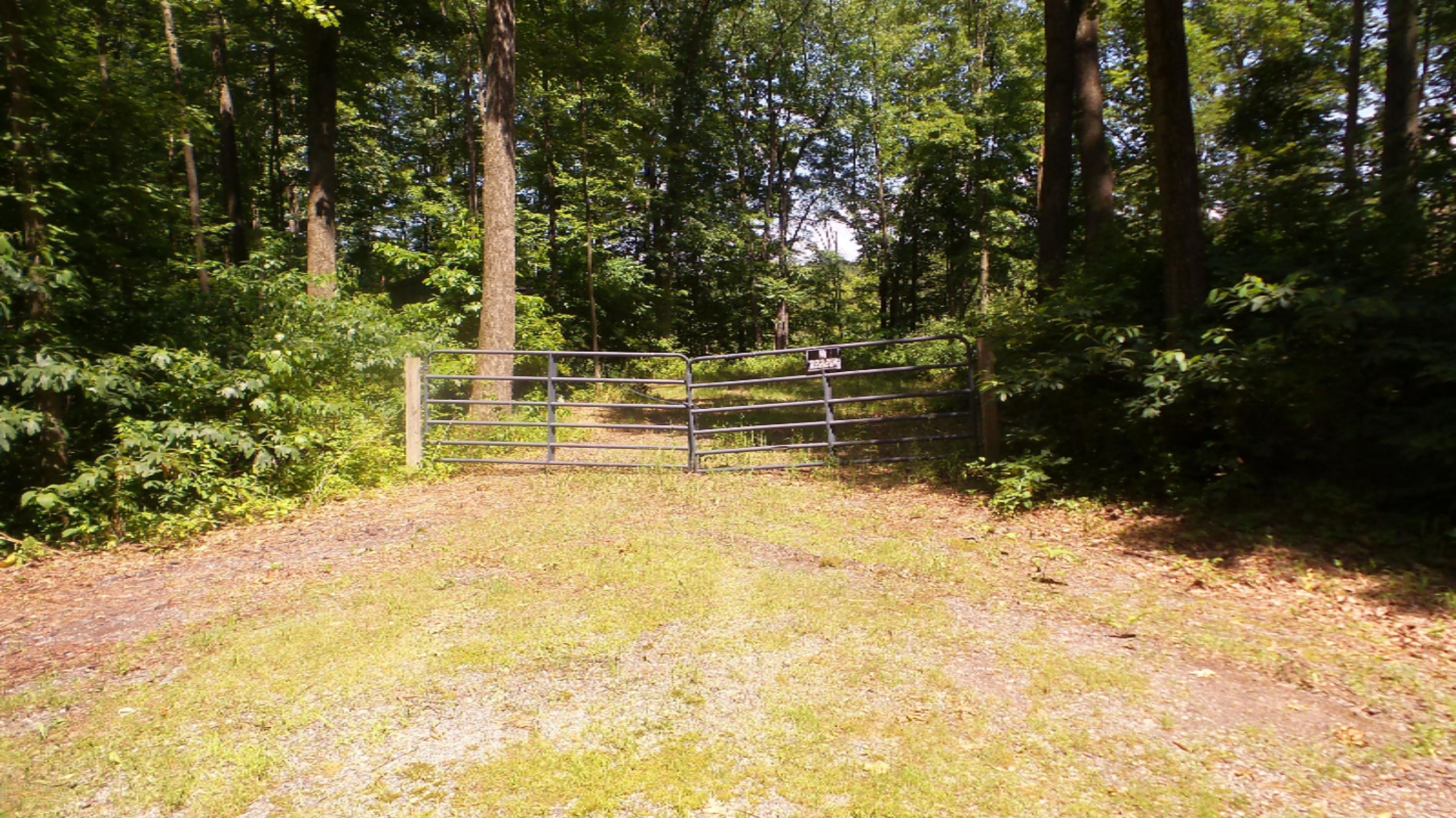 69683 Bellows Road White Pigeon, MI 49099 - Photo 1 of 11 20190715_151042 (1)