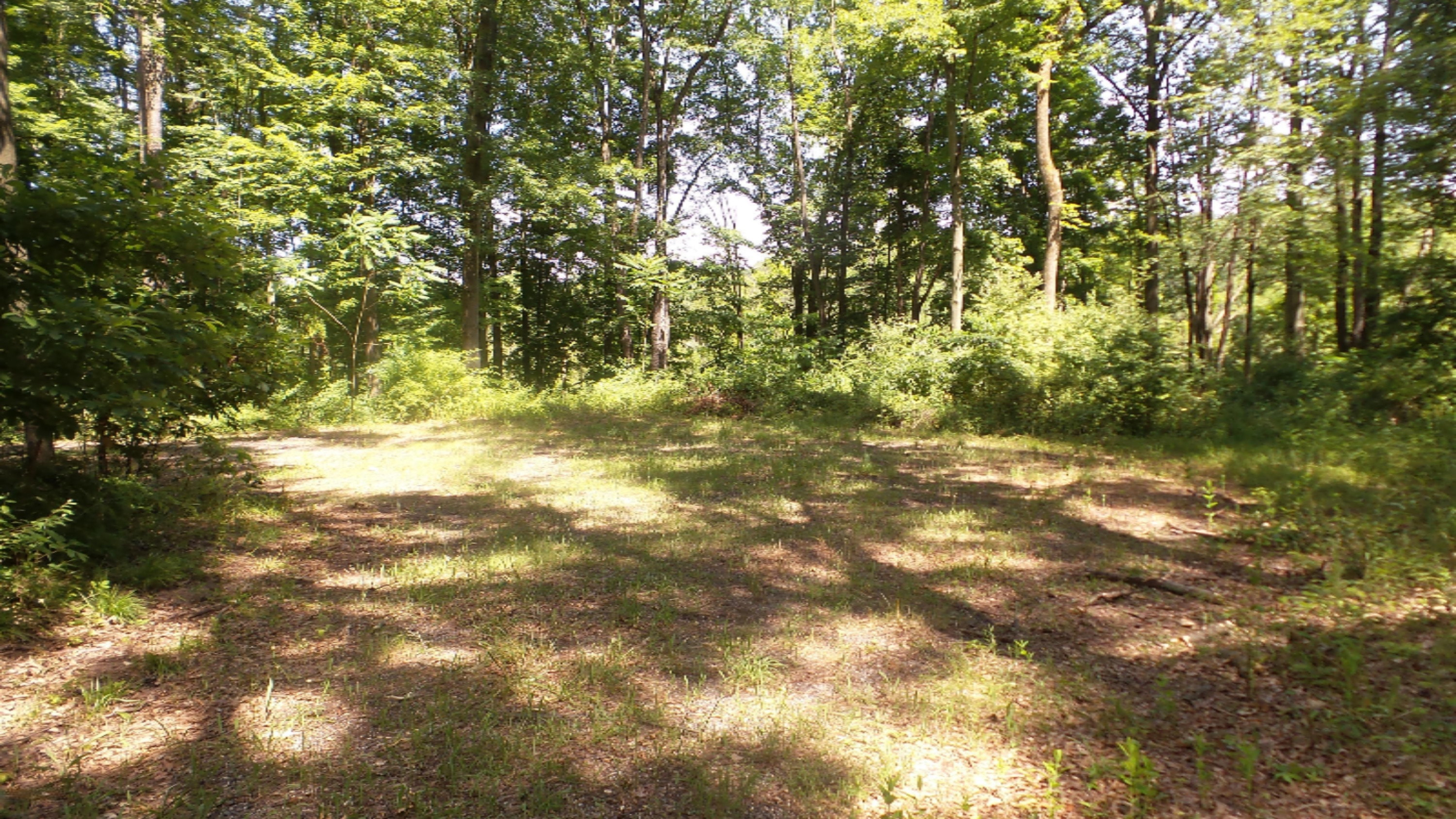 69683 Bellows Road White Pigeon, MI 49099 - Photo 2 of 11 20190715_151107