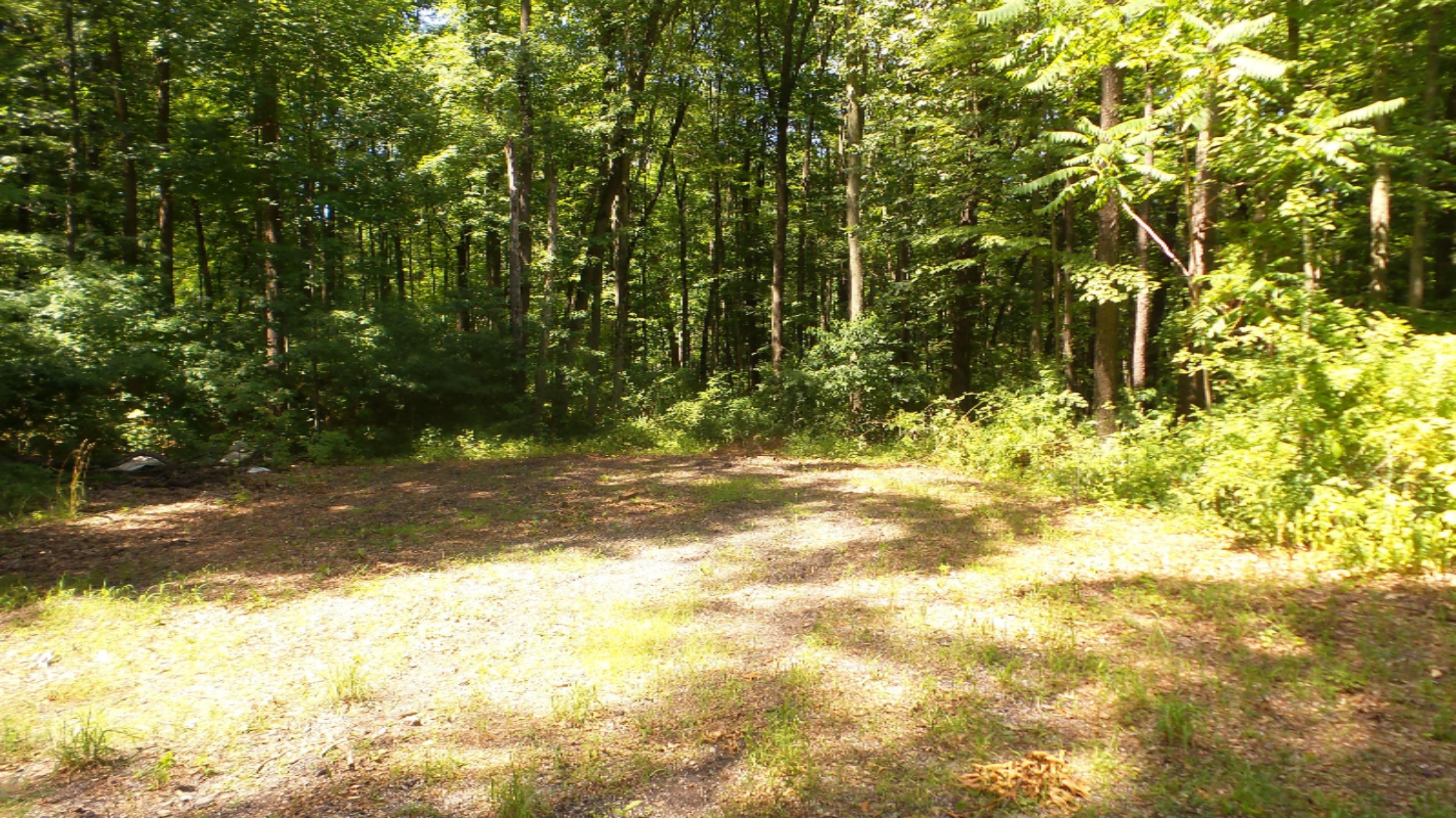 69683 Bellows Road White Pigeon, MI 49099 - Photo 3 of 11 20190715_151142