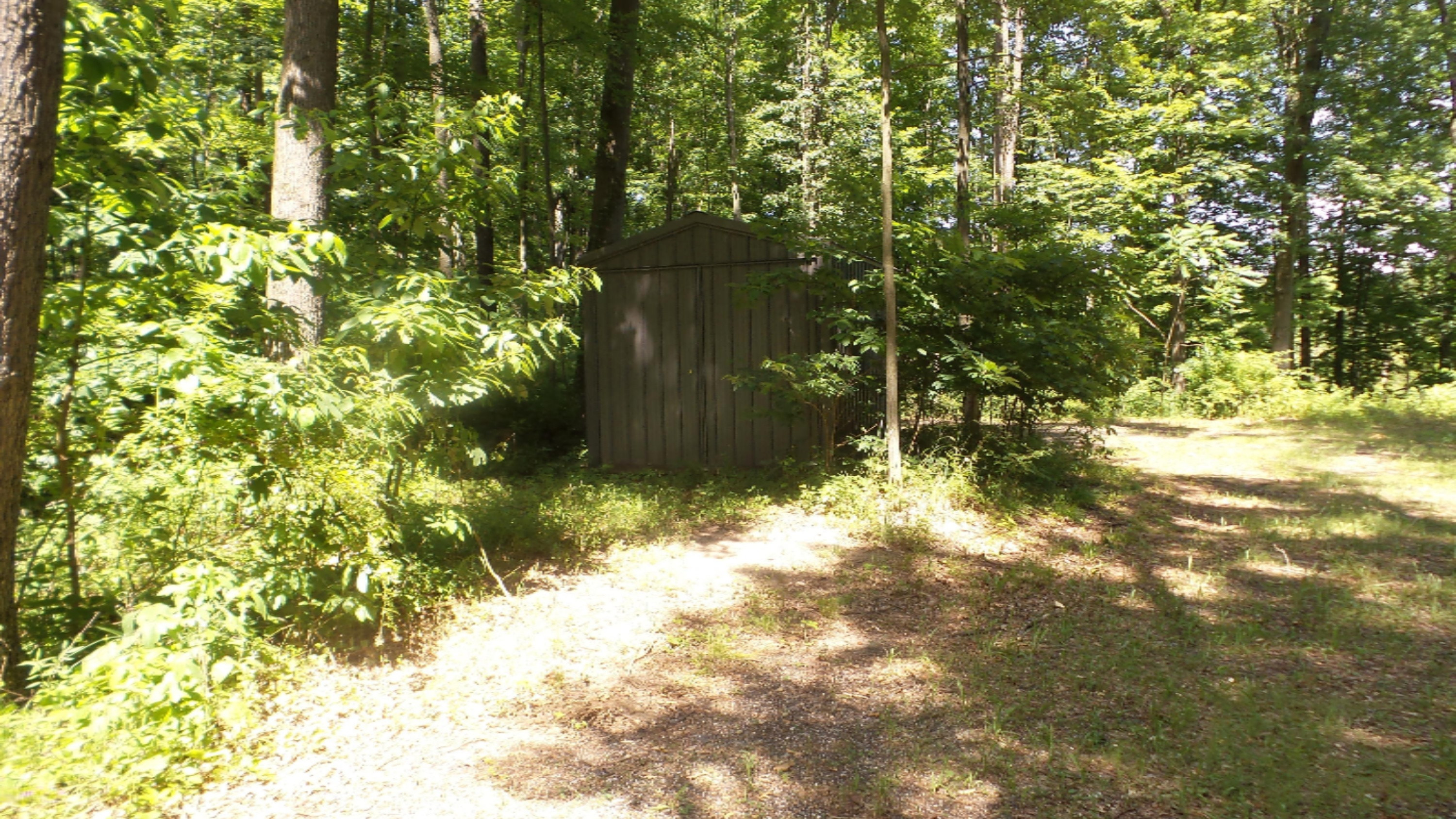 69683 Bellows Road White Pigeon, MI 49099 - Photo 4 of 11 20190715_151059