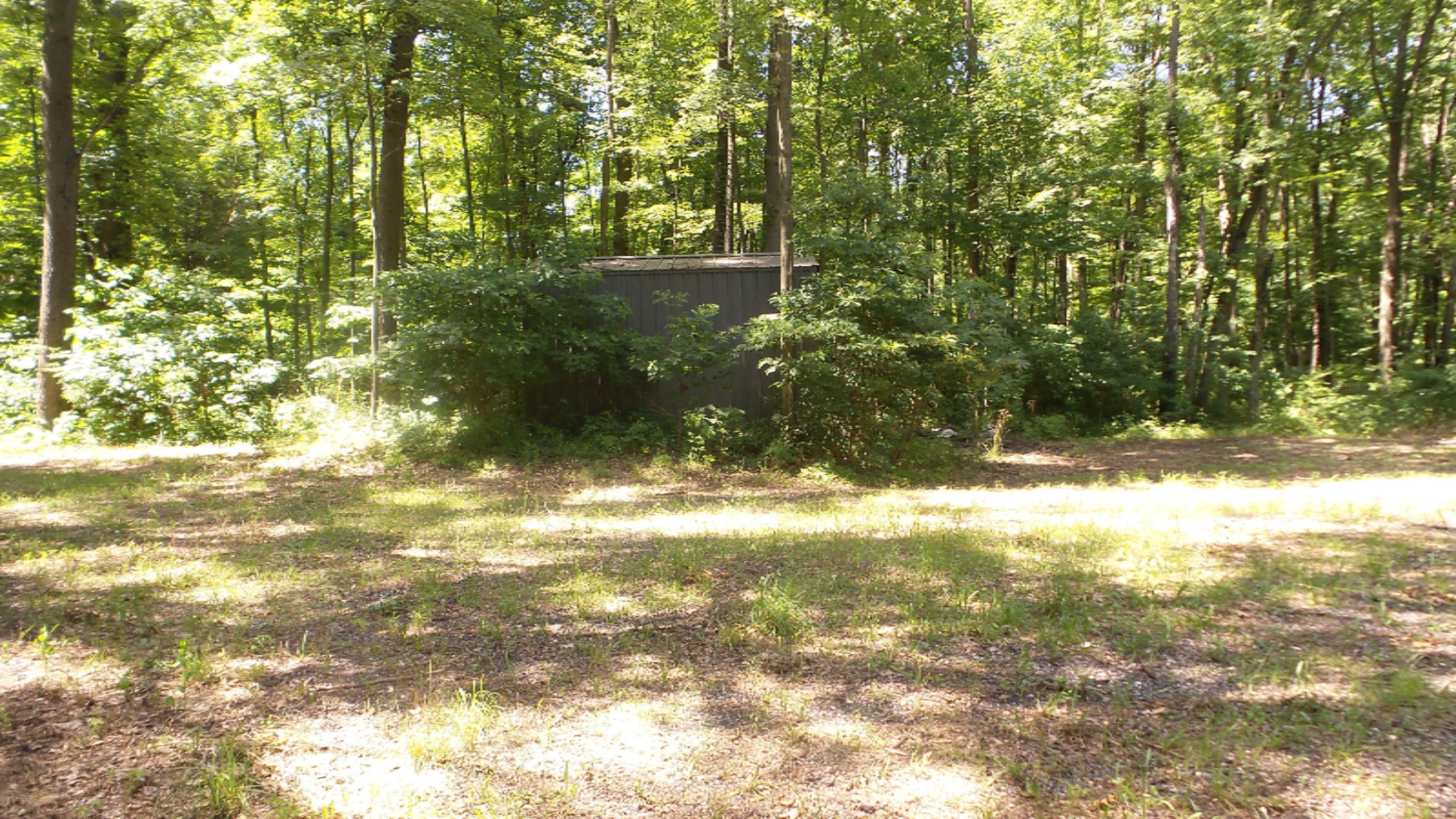 69683 Bellows Road White Pigeon, MI 49099 - Photo 5 of 11 20190715_151128