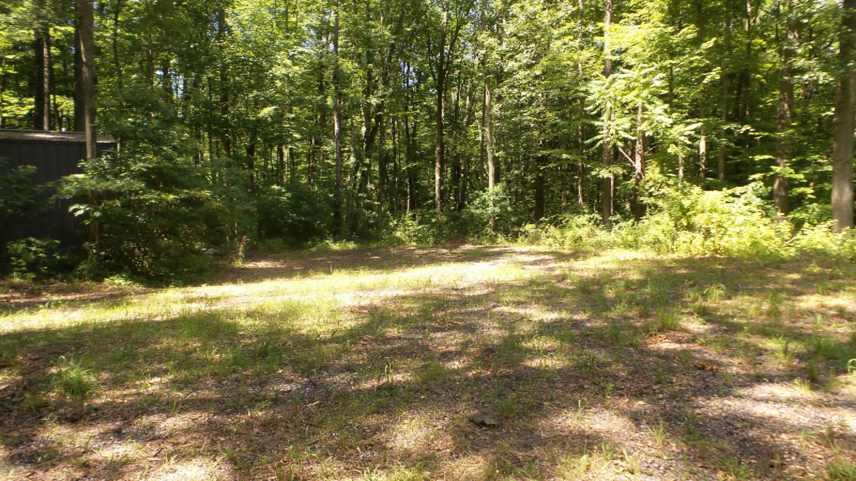 69683 Bellows Road White Pigeon, MI 49099 - Photo 6 of 11 20190715_151131