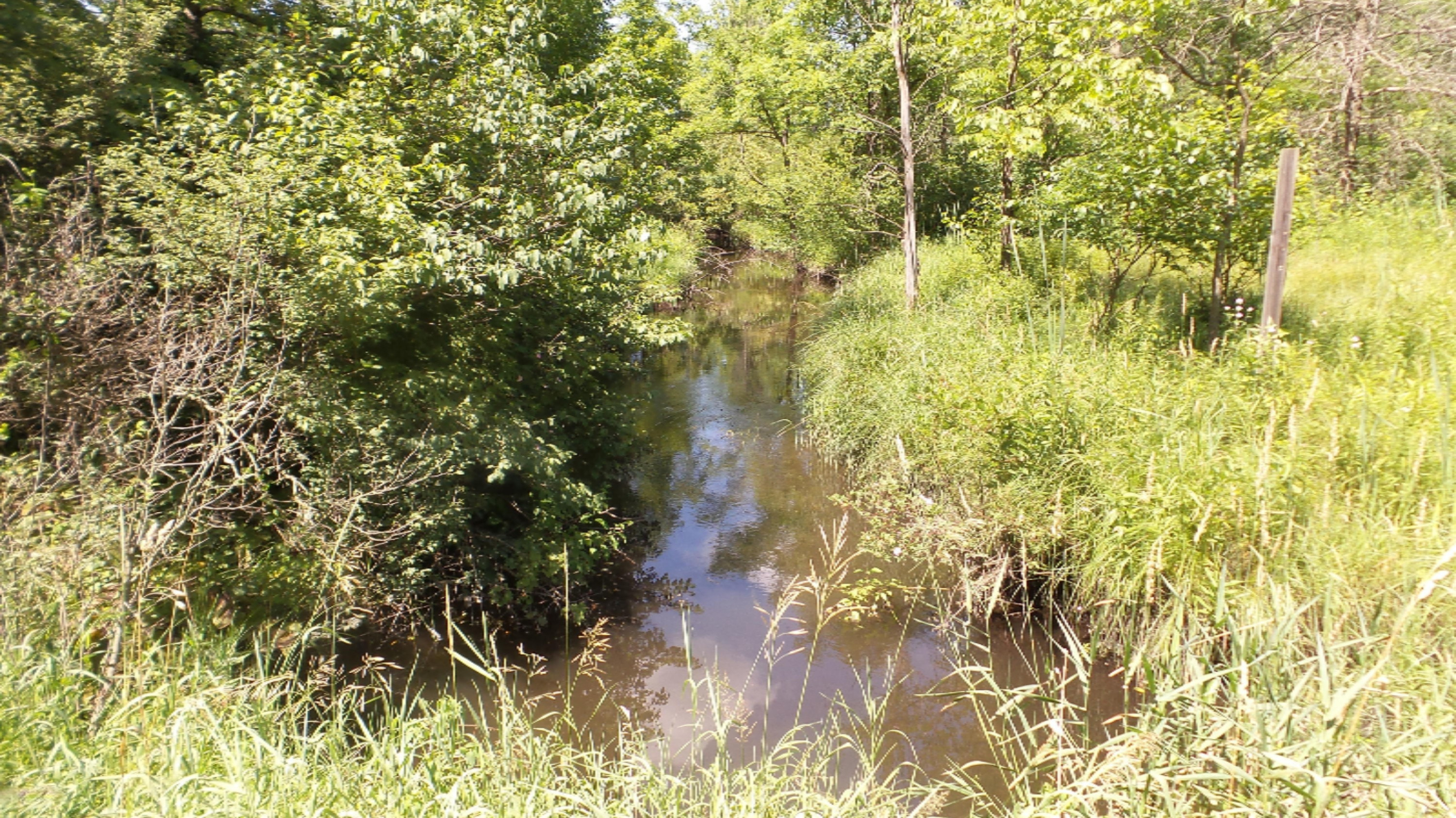 69683 Bellows Road White Pigeon, MI 49099 - Photo 7 of 11 20190715_150935