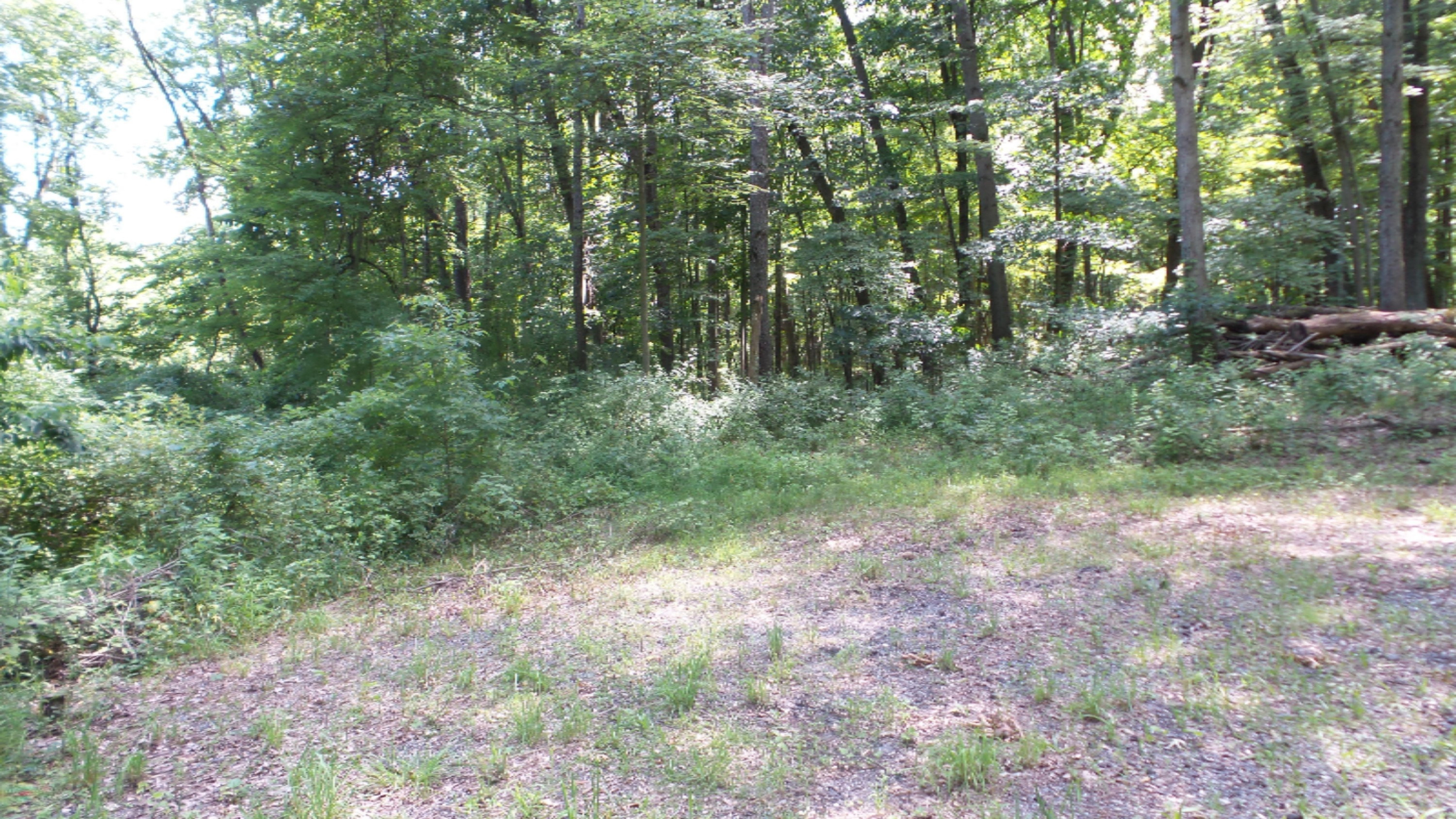 69683 Bellows Road White Pigeon, MI 49099 - Photo 10 of 11 20190715_151156