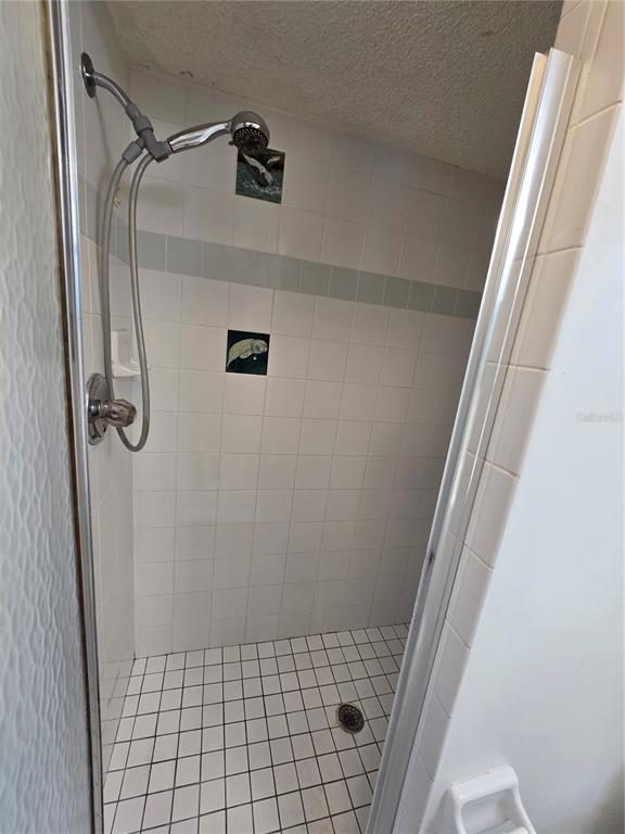 11127 Peppertree Lane Port Richey, FL 34668 - Photo 21 of 25 a bathroom with a shower