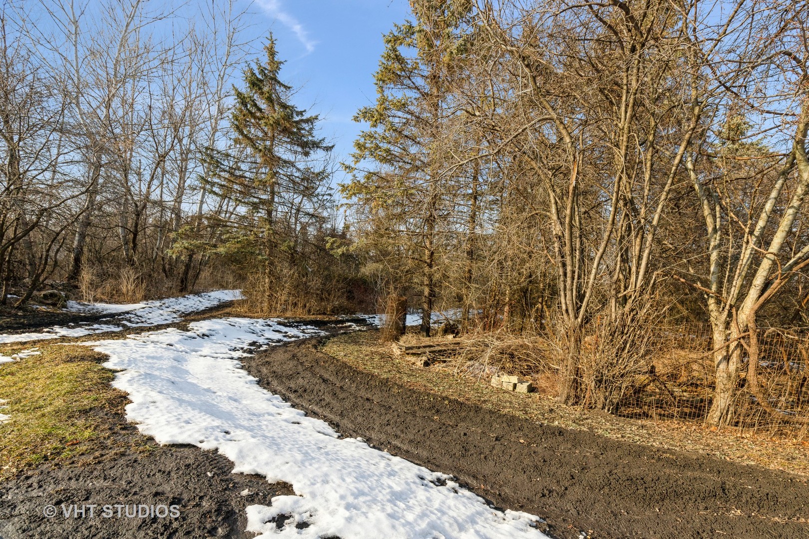 22771 North Prairie Road Lincolnshire, IL 60069 - Photo 12 of 21 a view of a yard with a tree