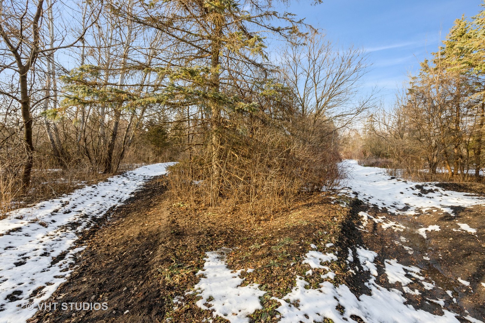 22771 North Prairie Road Lincolnshire, IL 60069 - Photo 15 of 21 a view of a yard with a tree