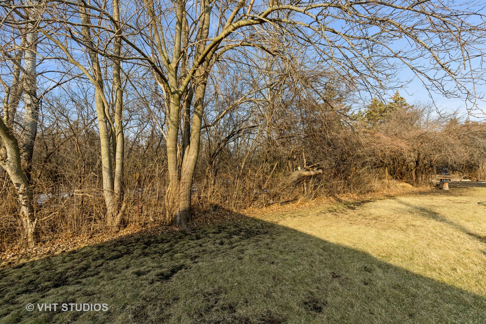 22771 North Prairie Road Lincolnshire, IL 60069 - Photo 8 of 21 a view of backyard of a house