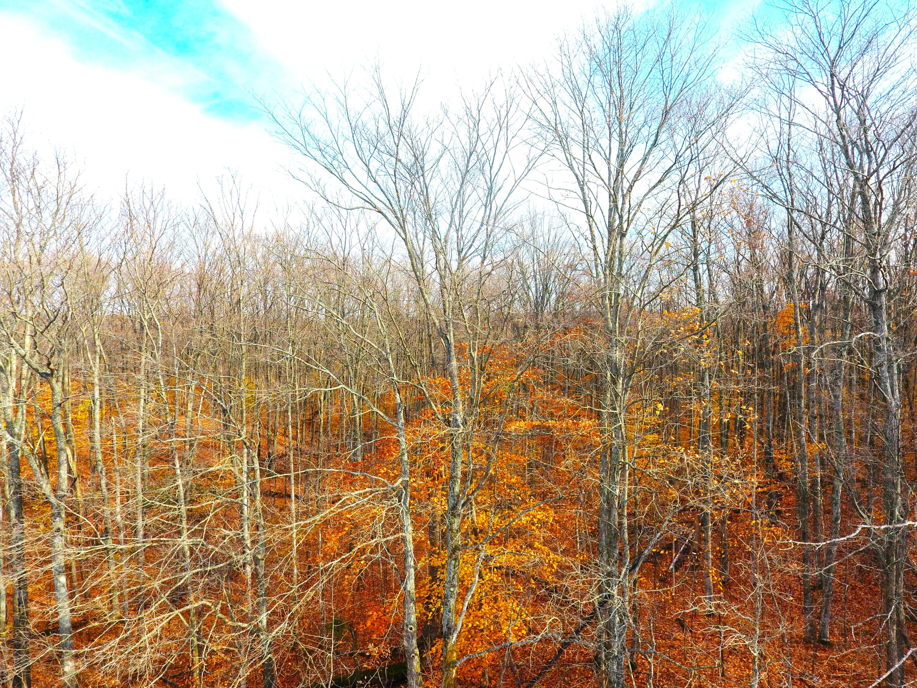 Northwest Garber And Canby Road Levering, MI 49755 - Photo 13 of 17 Gallery Image 13