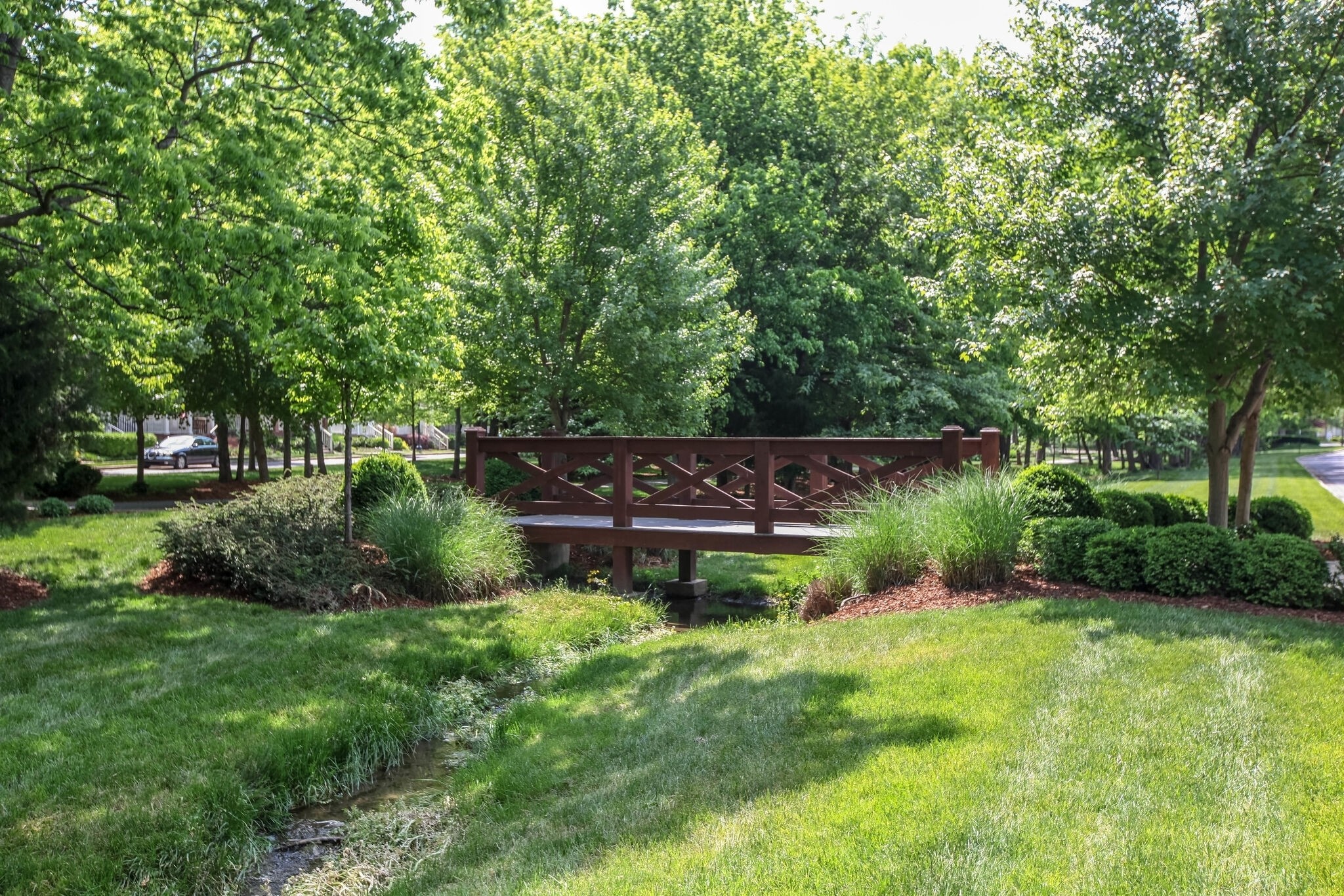 2000 Erwin Street Franklin, TN 37064 - Photo 42 of 97 a backyard of a house with lots of green space