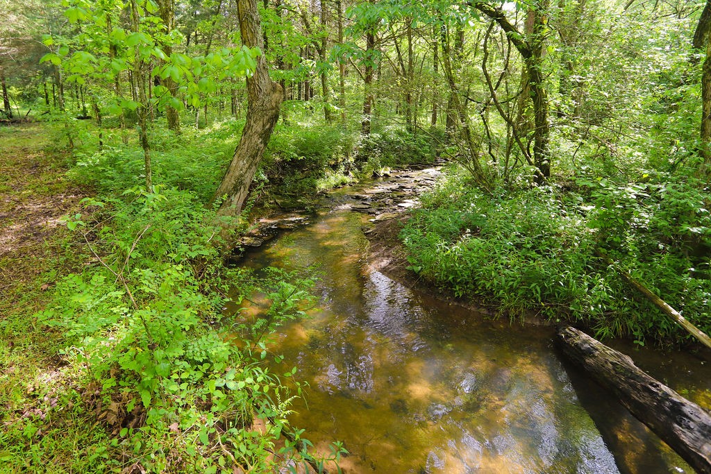 0 Scribners Mill Road Culleoka, TN 38451 - Photo 11 of 20 Gallery Image 11