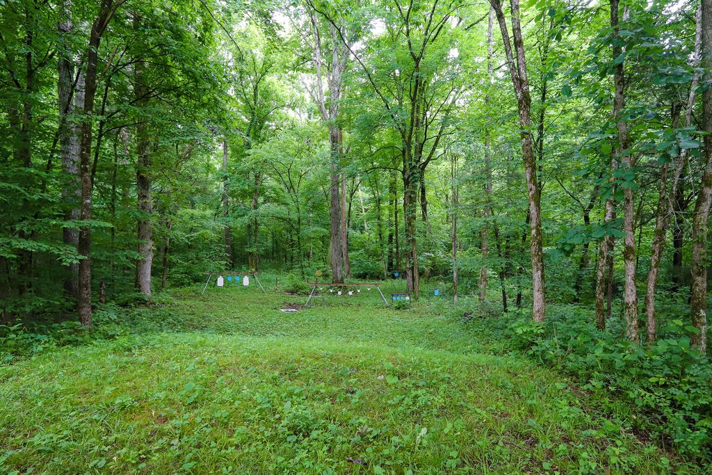 0 Scribners Mill Road Culleoka, TN 38451 - Photo 9 of 20 Gallery Image 9
