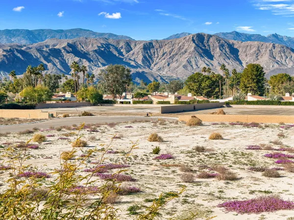 a view of a yard with an trees