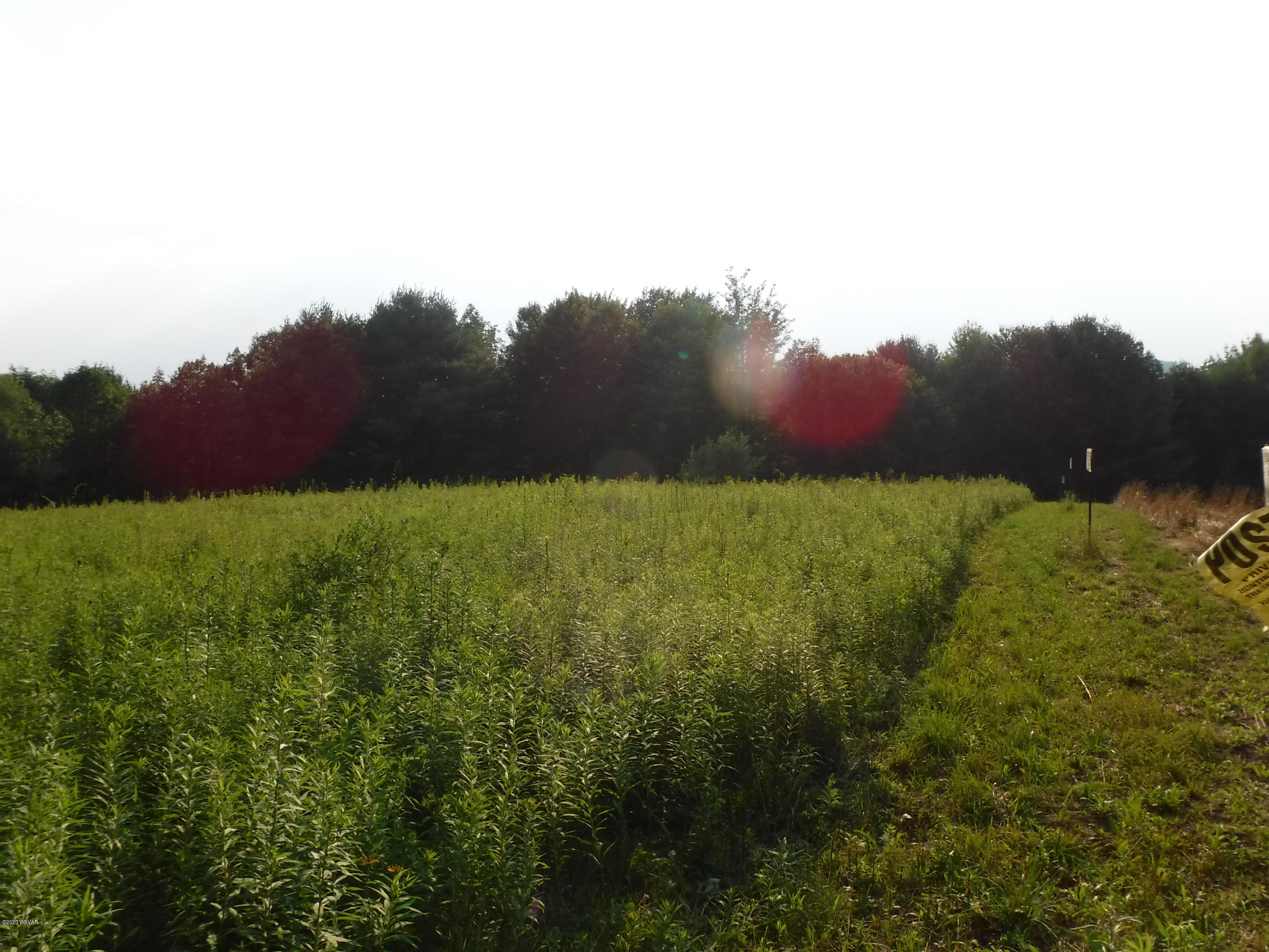 Molyneux Hill Road Dushore, PA 18614 - Photo 1 of 30 Gallery Image 1