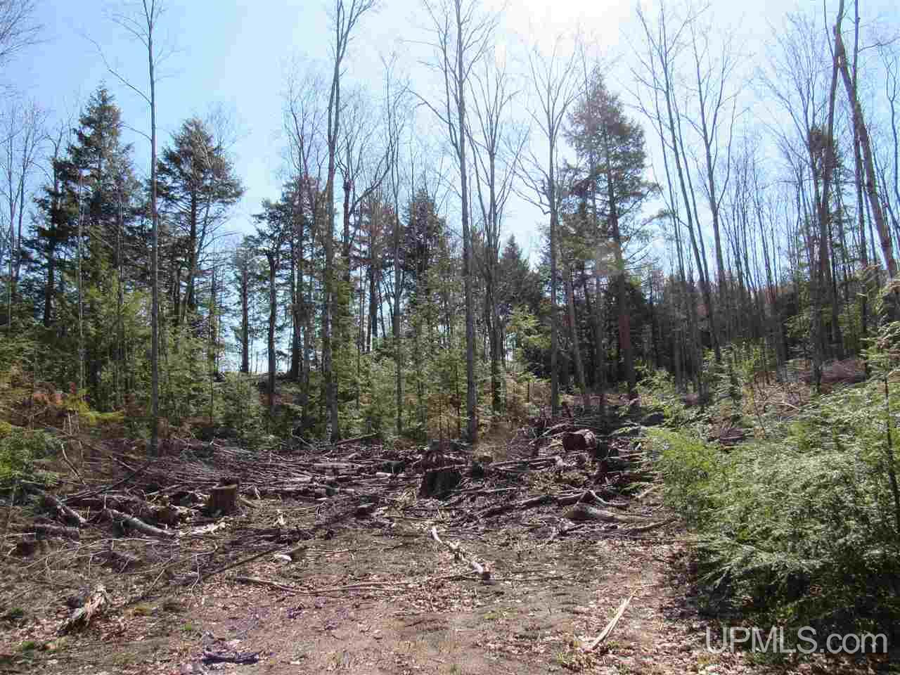 N2510 Co Rd Kch Big Bay, MI 49808 - Photo 22 of 39