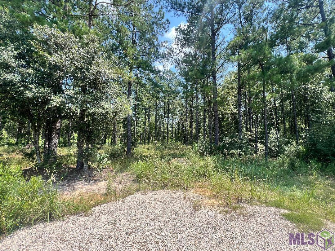 Lot 19 South Frost Road Livingston, LA 70754 - Photo 11 of 13 Gallery Image 11