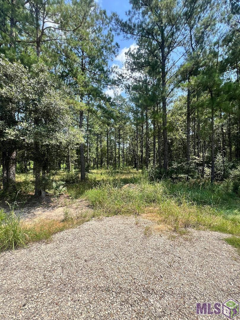Lot 19 South Frost Road Livingston, LA 70754 - Photo 13 of 13 Gallery Image 13