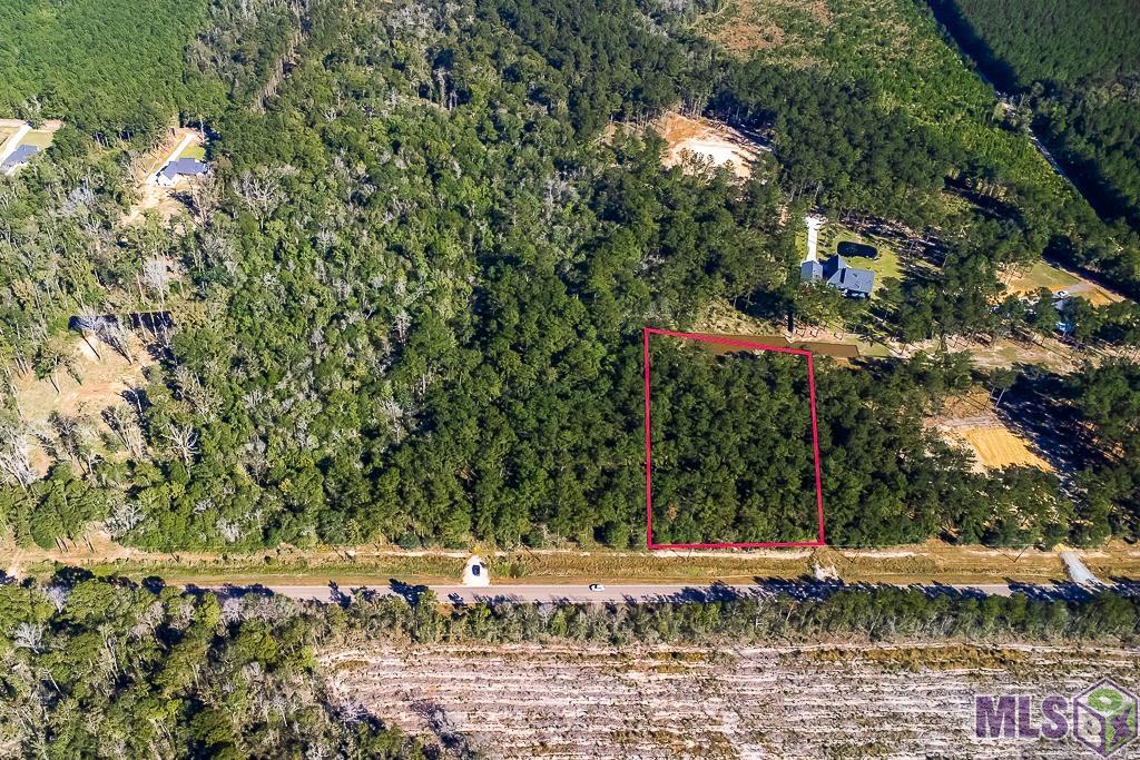 Lot 19 South Frost Road Livingston, LA 70754 - Photo 3 of 13 Gallery Image 3