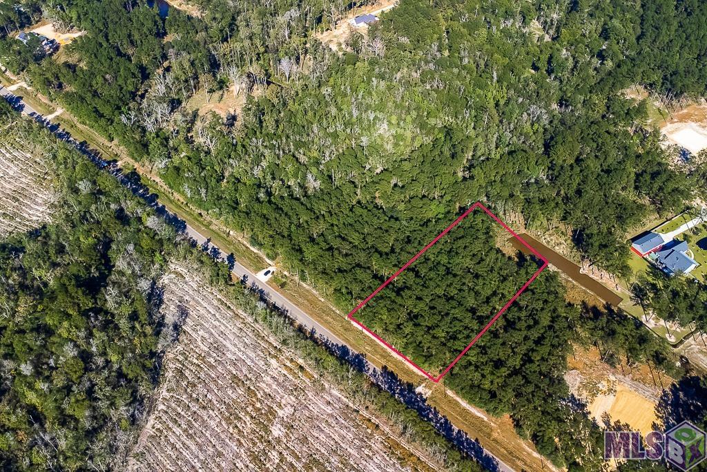 Lot 19 South Frost Road Livingston, LA 70754 - Photo 4 of 13 Gallery Image 4
