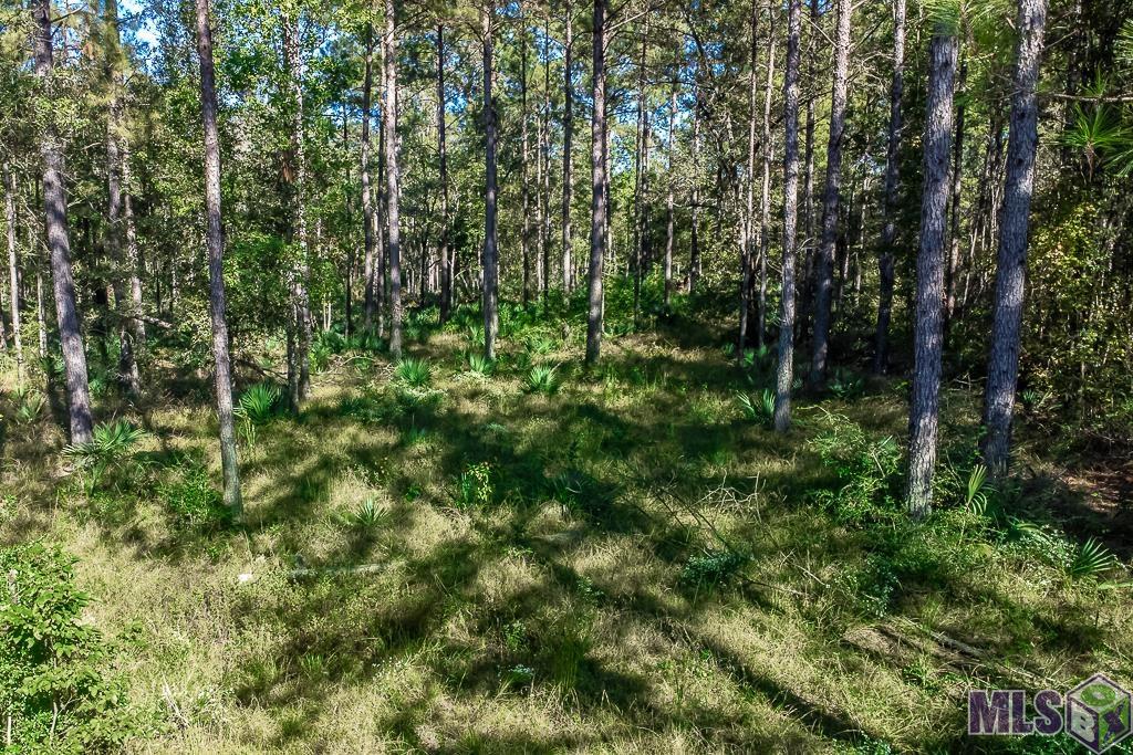 Lot 19 South Frost Road Livingston, LA 70754 - Photo 8 of 13 Gallery Image 8