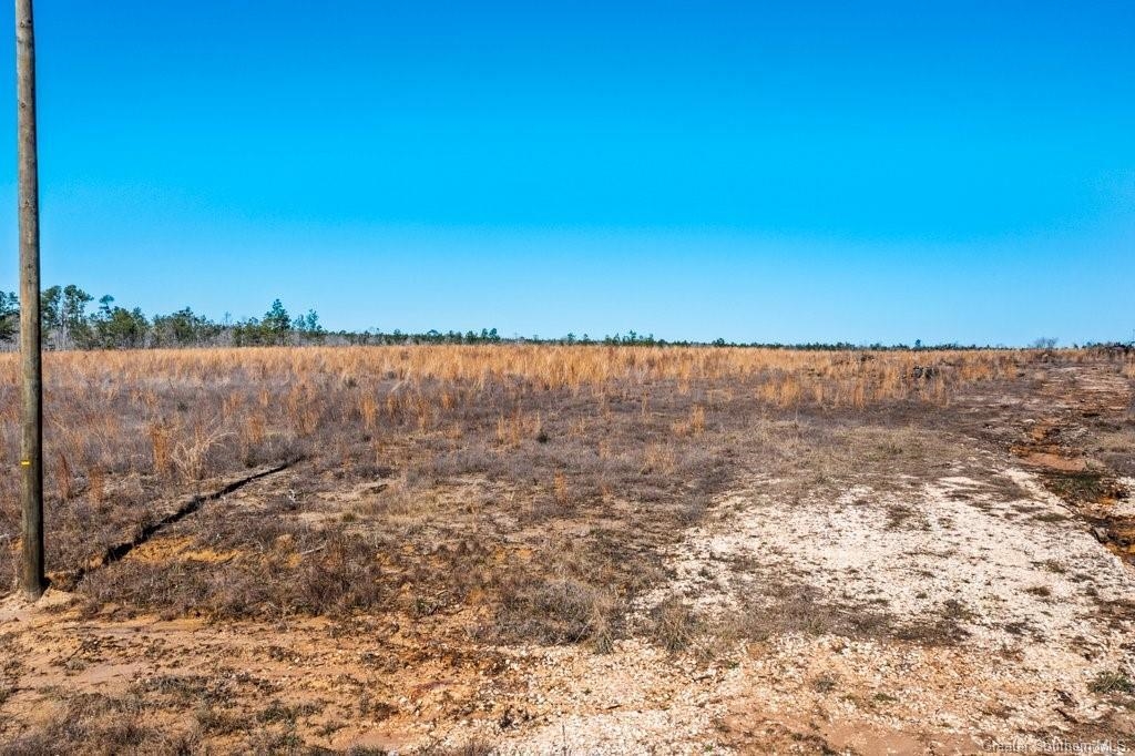 1806 Whittington Road Longville, LA 70652 - Photo 1 of 1