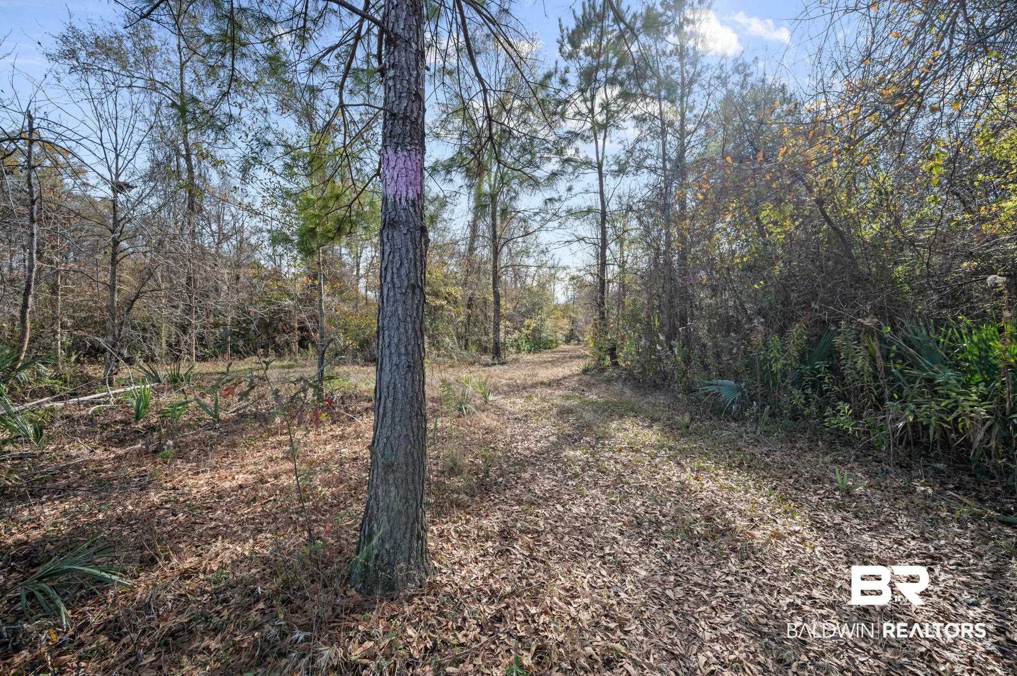 0 Bryant's Lndg Road Stockton, AL 36579 - Photo 5 of 29
