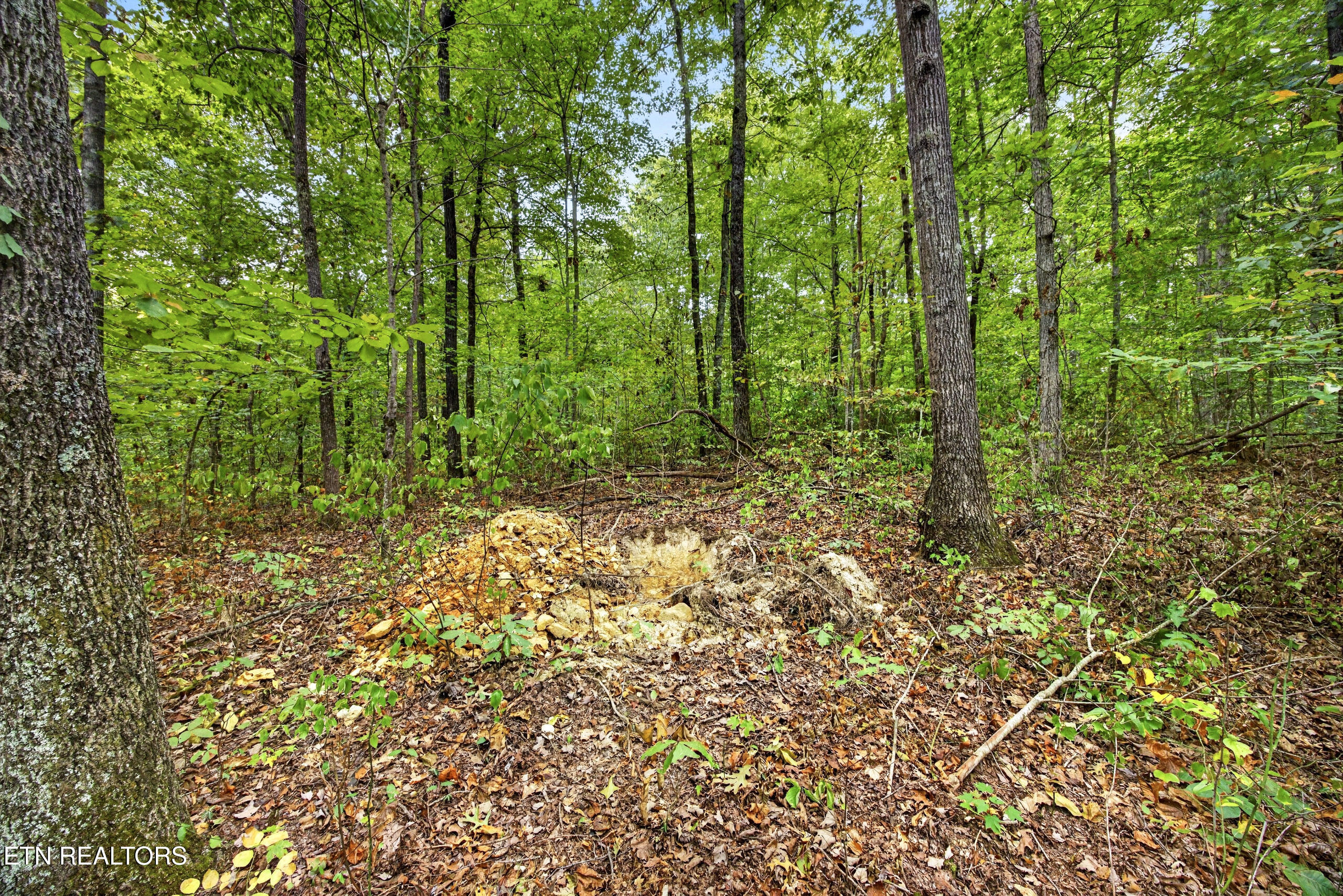 Lot 22 Timber Ridge Lane Celina, TN 38551 - Photo 4 of 12 4-8N5A6468