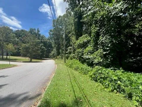 a view of a yard with a tree