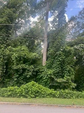 a view of an outdoor space