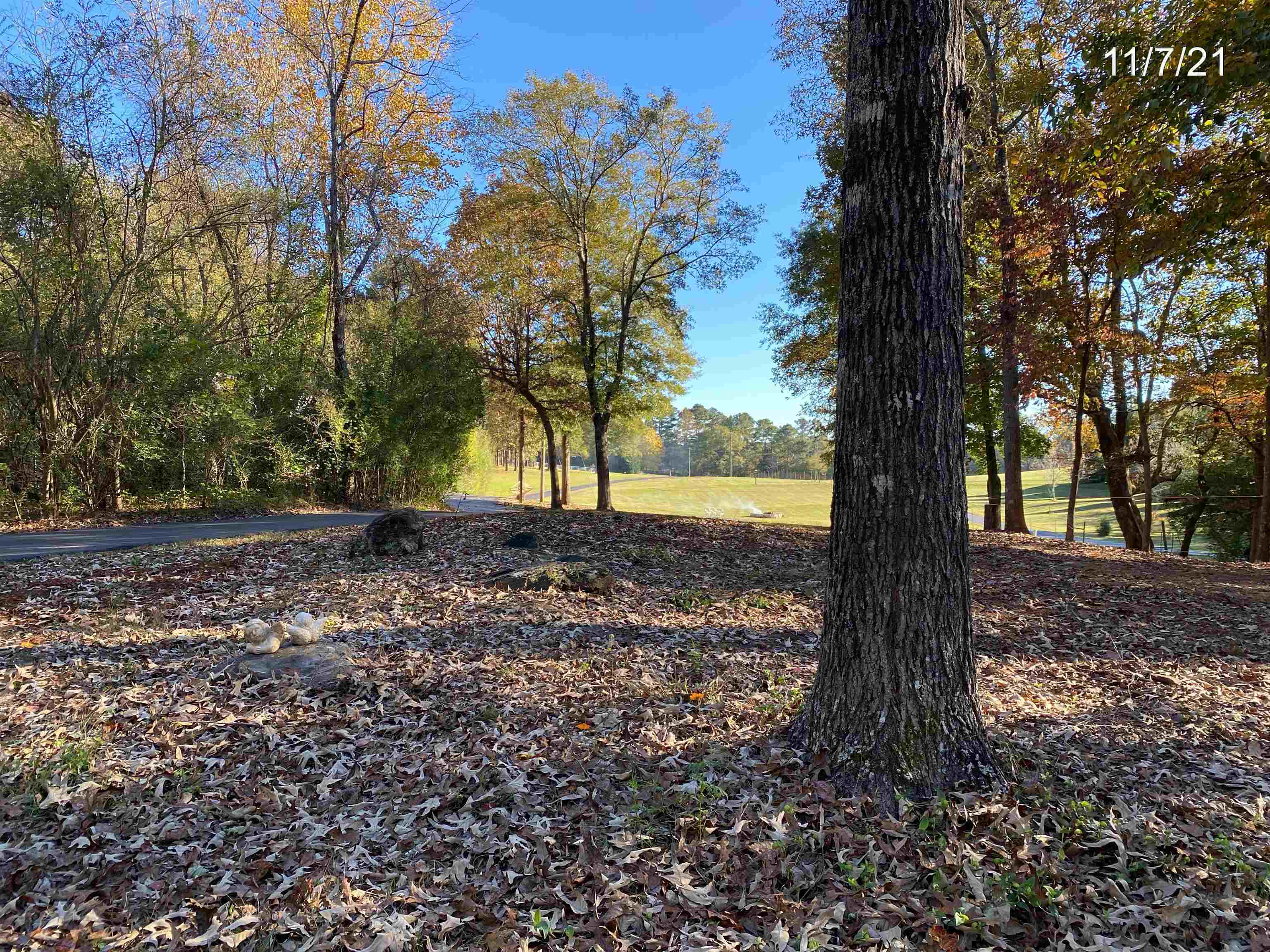 467 Hickory Grove Church Road Monroe, GA 30656 - Photo 9 of 29 Gallery Image 9