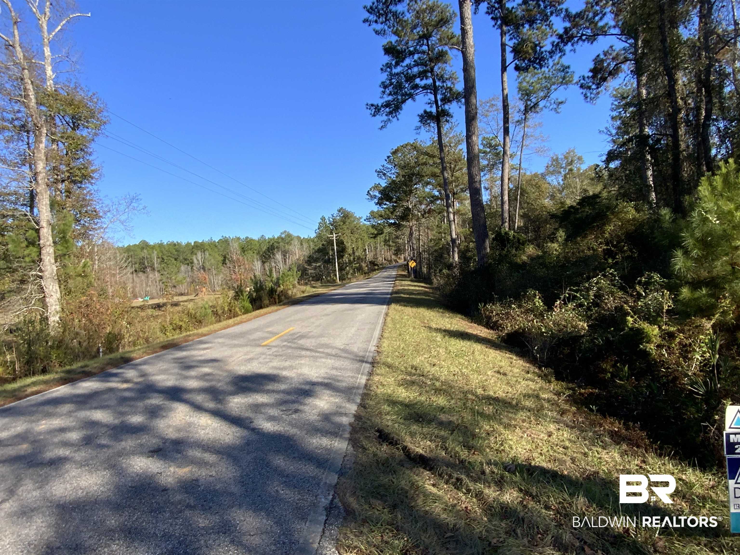 10 Drinkard Road Bay Minette, AL 36507 - Photo 14 of 16 View of asphalt street featuring a view of trees