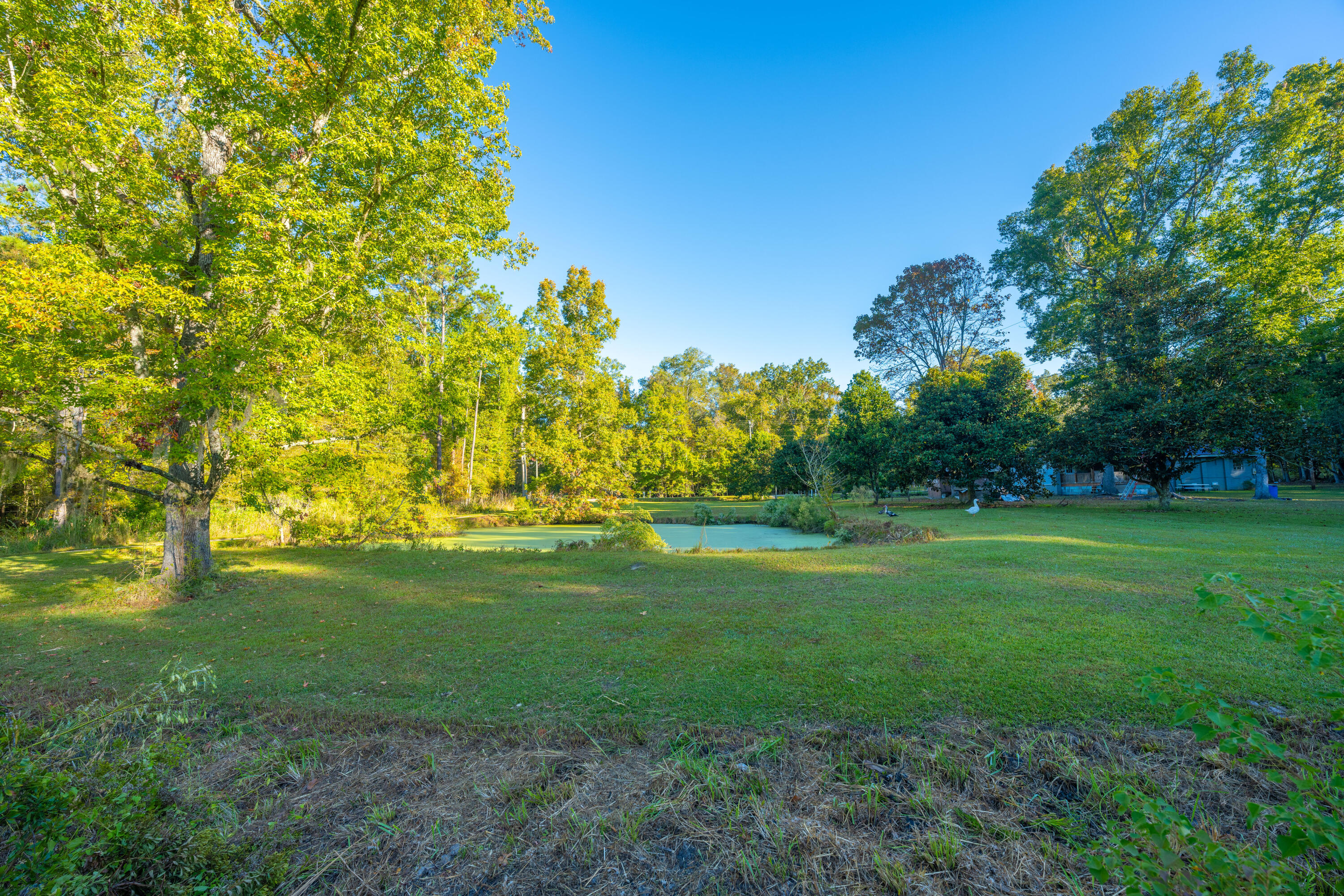 267 Sedgewick Road Summerville, SC 29483 - Photo 4 of 49 323Sedgefield003