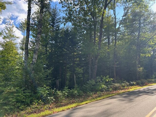 8 Glover Farm Road Bowerbank, ME 04426 - Photo 3 of 4 Williams 2
