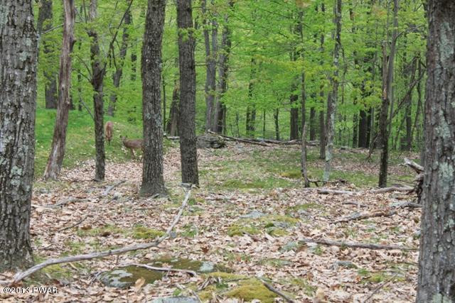 118 Eagle Crest Road Greentown, PA 18426 - Photo 1 of 10