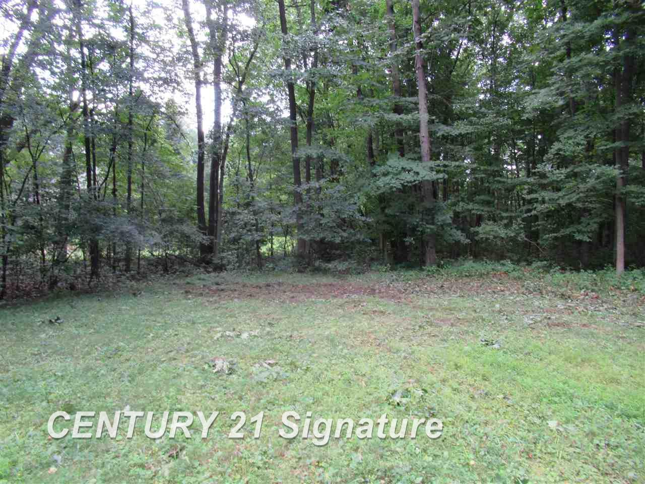 9139 Coldwater Road Flushing, MI 48433 - Photo 39 of 40