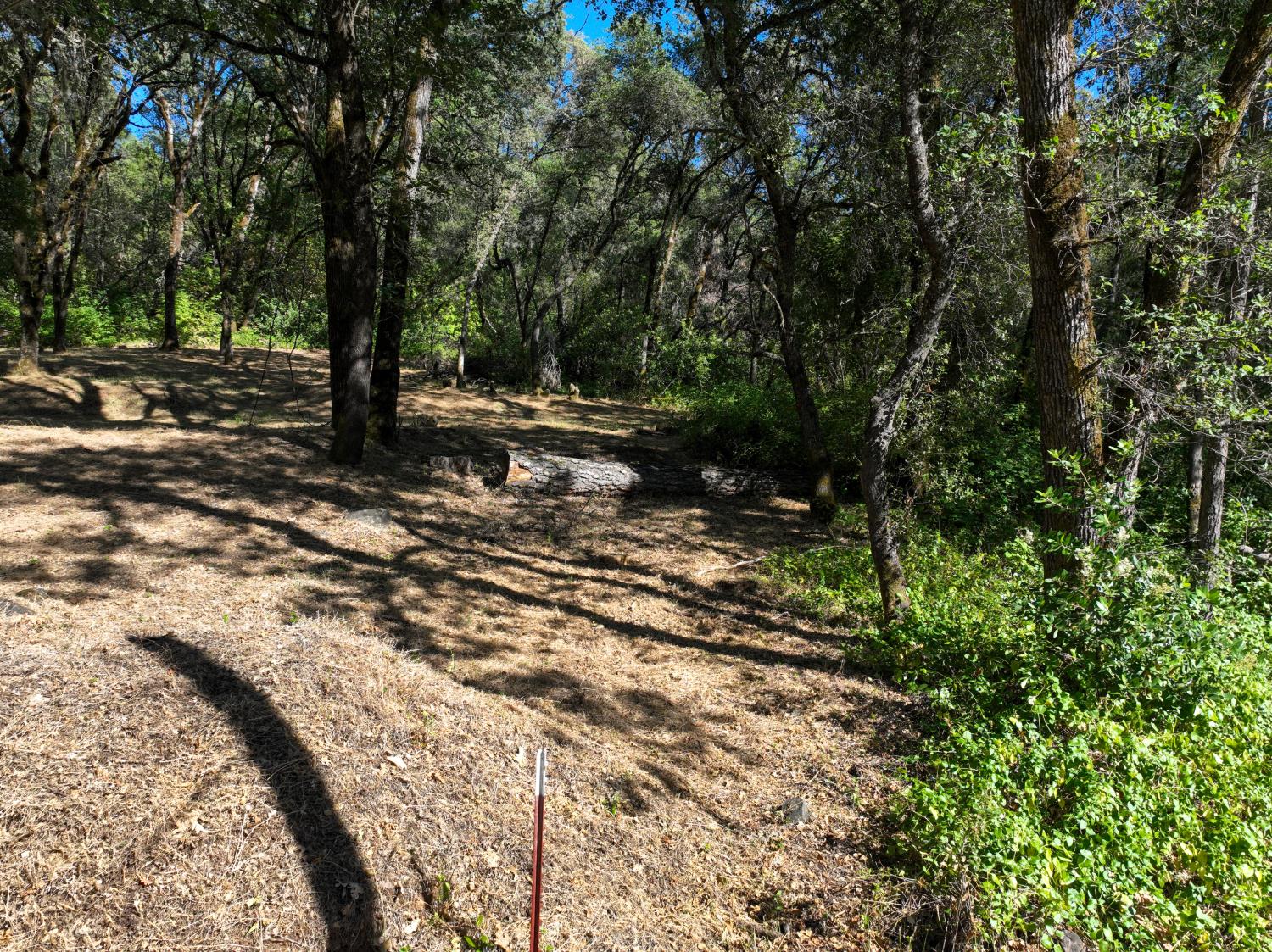 16970 Southridge Road Penn Valley, CA 95946 - Photo 10 of 45
