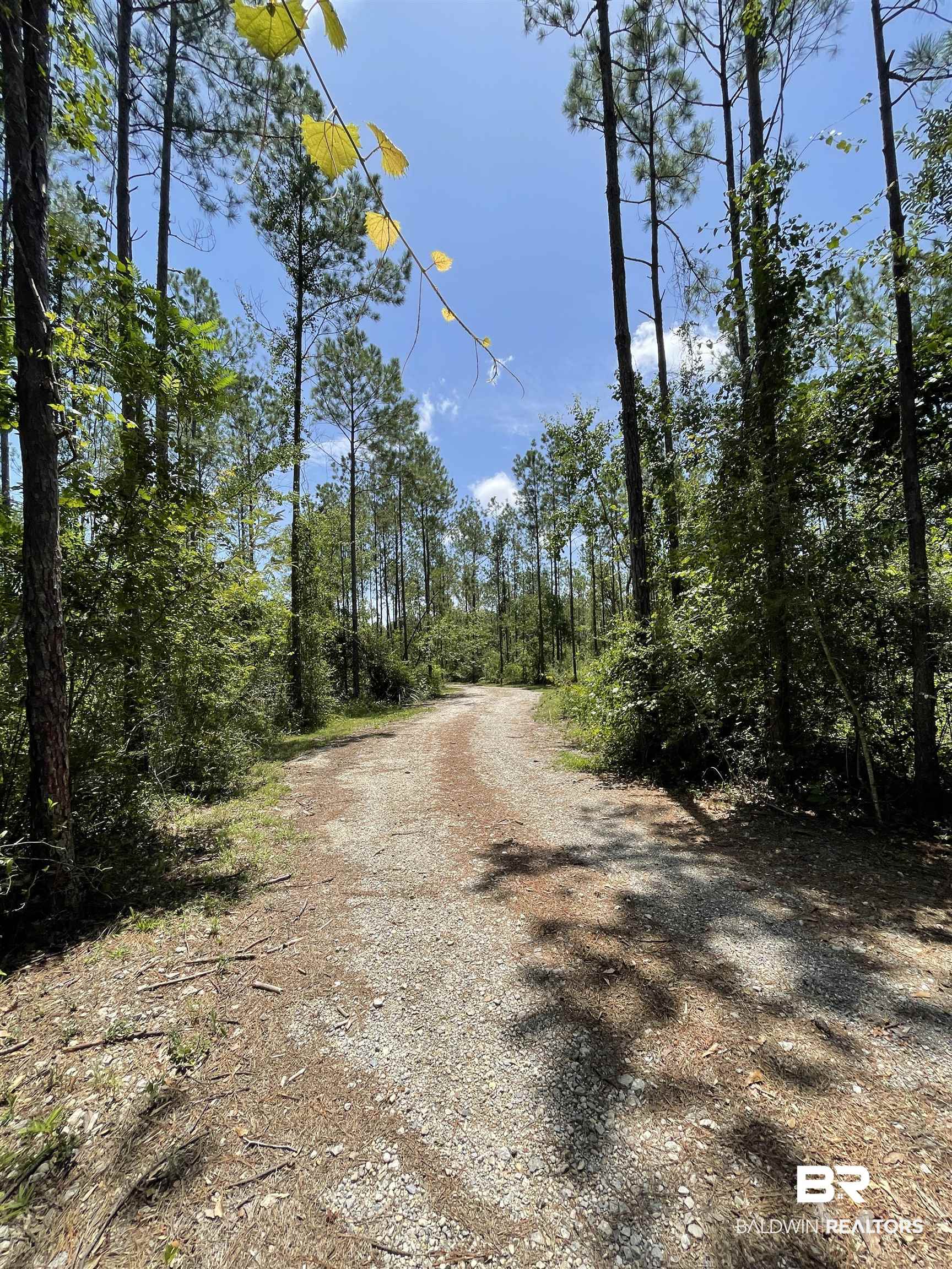18676 Greek Cemetery Road Robertsdale, AL 36567 - Photo 1 of 12