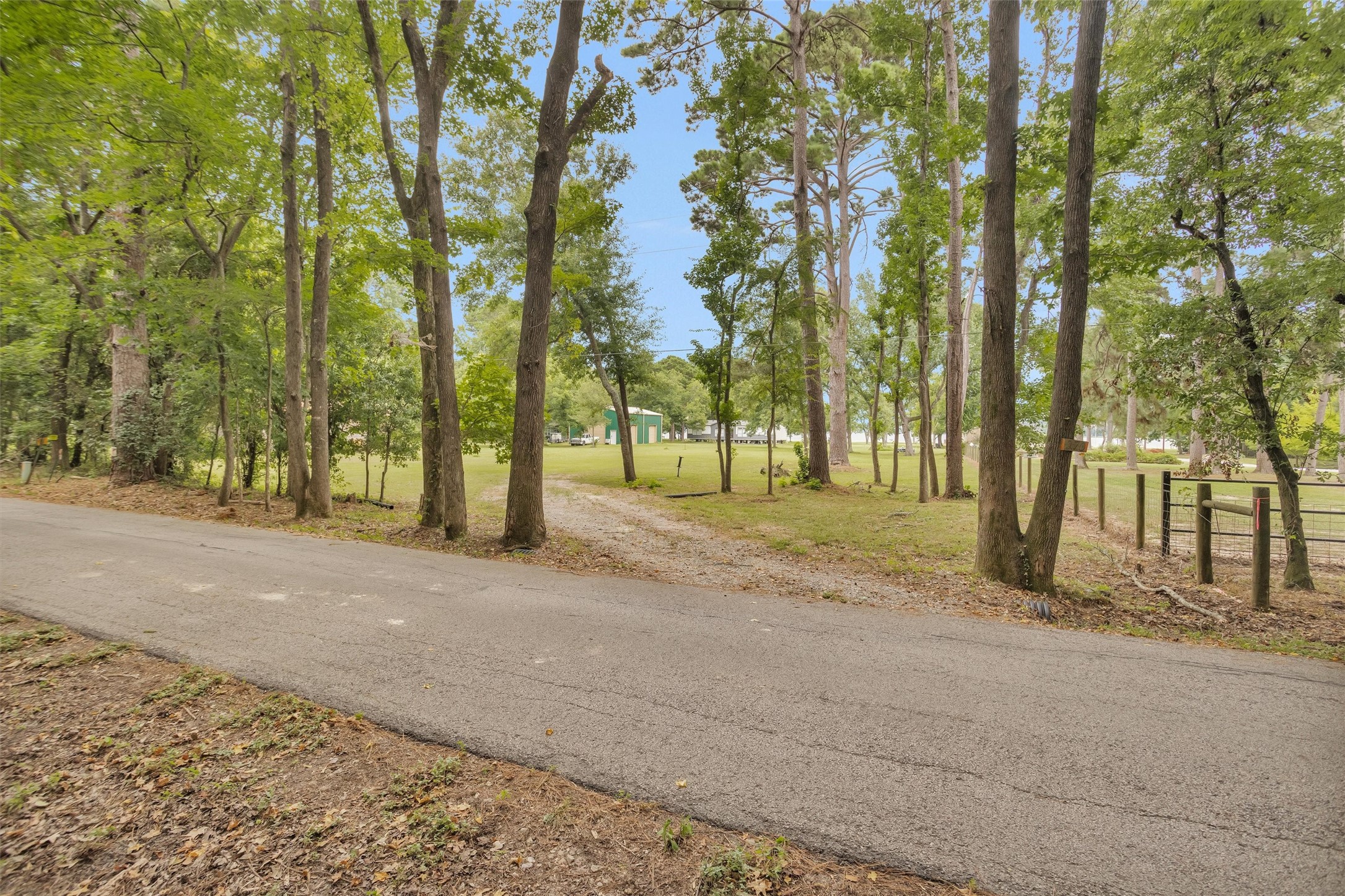 A private wooded entrance leading to a spacious, open waterfront lot.