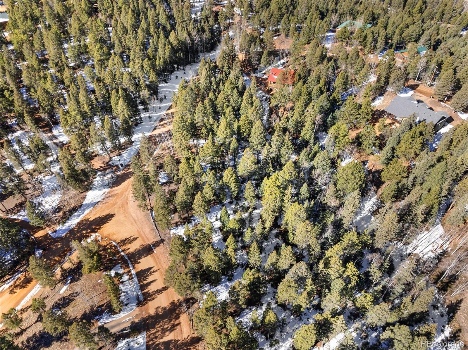 810 Ridge Road Divide, CO 80814 - Photo 12 of 14 a view of a tree
