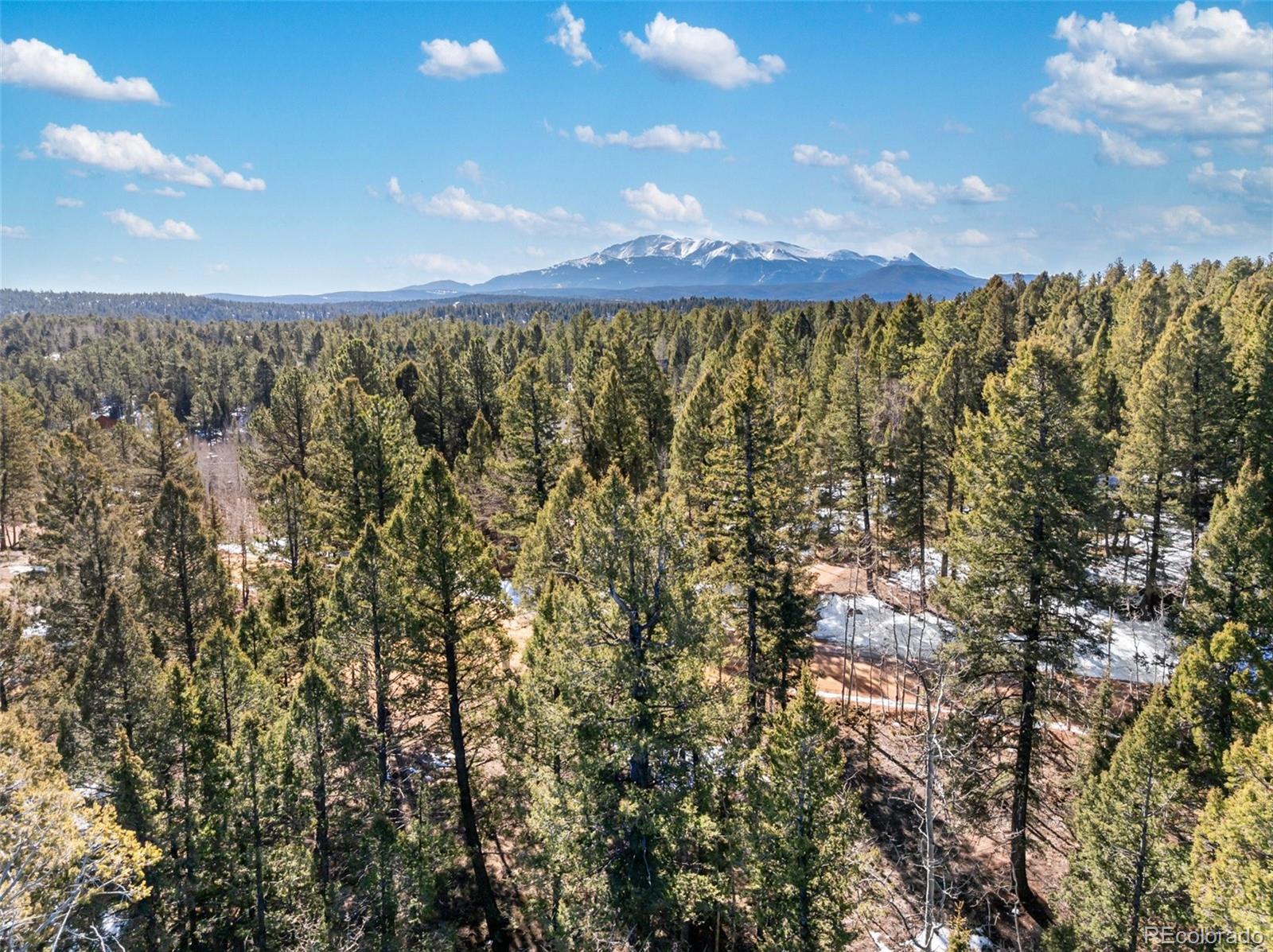 810 Ridge Road Divide, CO 80814 - Photo 9 of 14 a view of a city with lots of trees