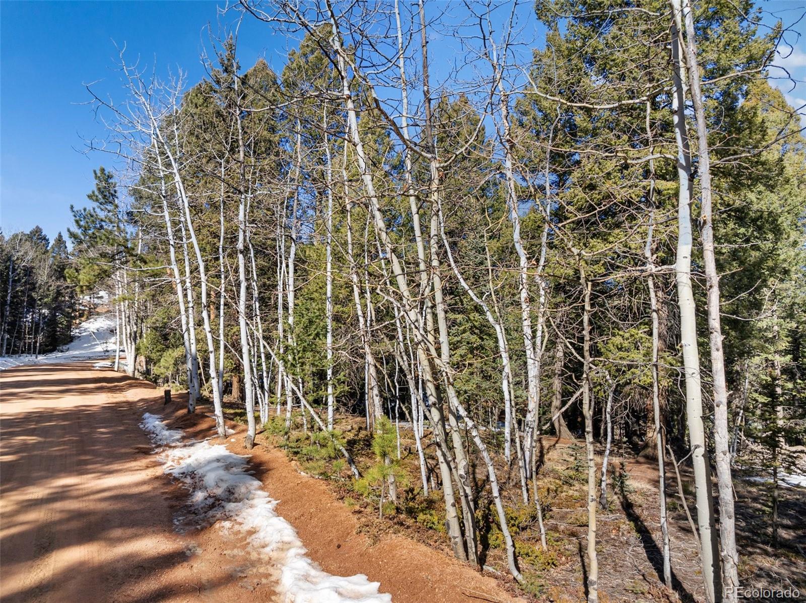 810 Ridge Road Divide, CO 80814 - Photo 10 of 14