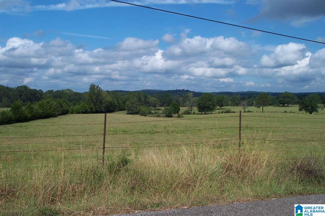 1910 Peaceful Valley Road, Unit 1 Eastaboga, AL 36260 - Photo 6 of 9