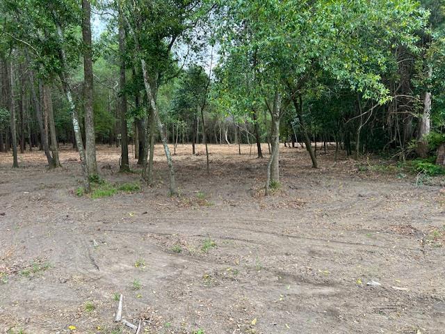 0 Kinsey Road Dothan, AL 36303 - Photo 1 of 2