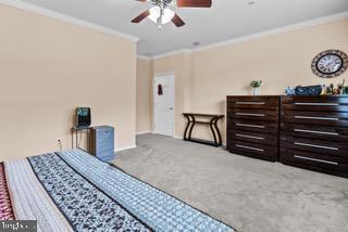 224 Timberlake Drive Ewing, NJ 08618 - Photo 12 of 27 2nd Bedroom