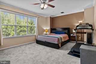 224 Timberlake Drive Ewing, NJ 08618 - Photo 8 of 27 Master Bedroom