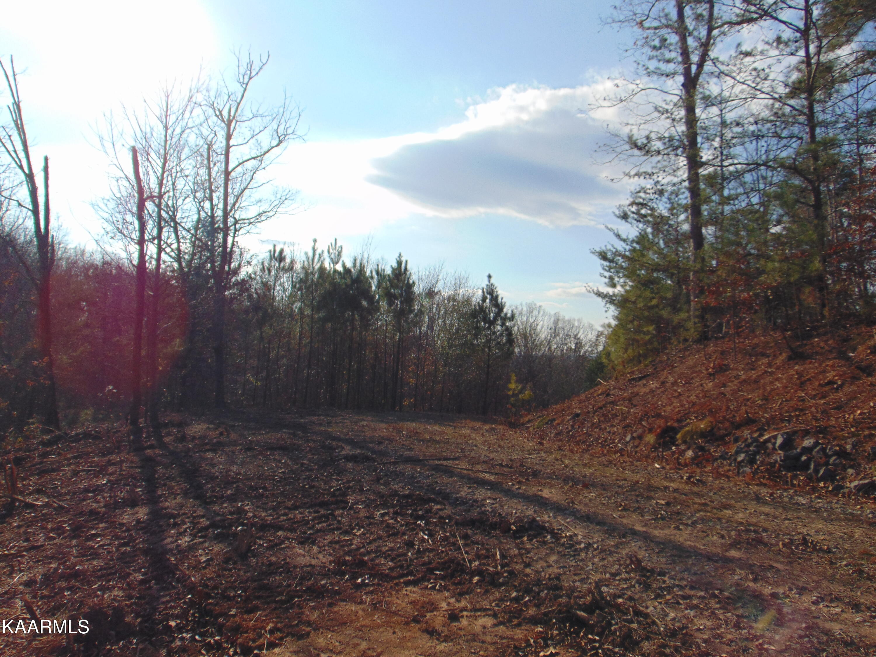 7.38-acres Lamontville Road Decatur, TN 37322 - Photo 13 of 60 DSC02029