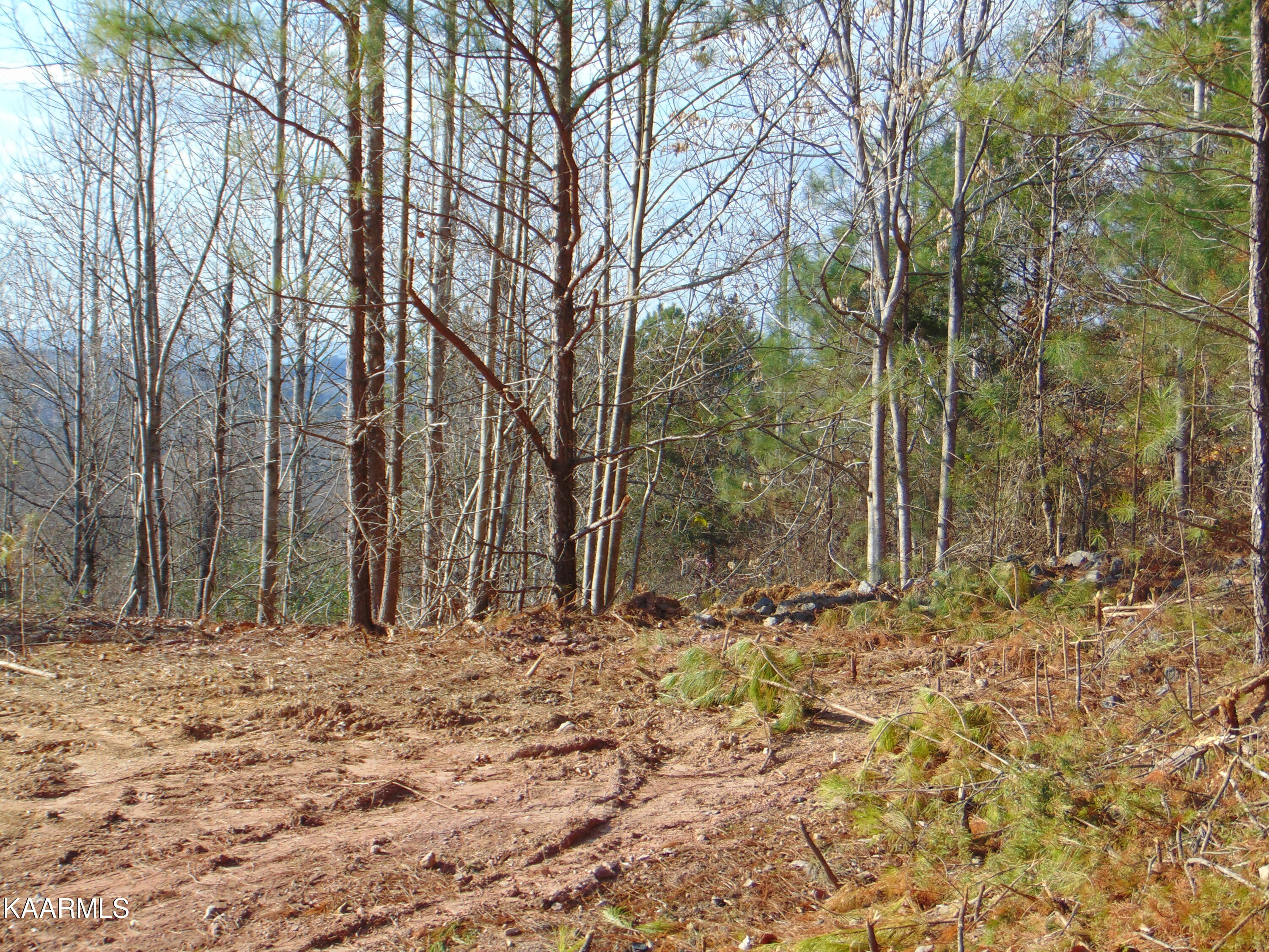 7.38-acres Lamontville Road Decatur, TN 37322 - Photo 24 of 60 DSC02017