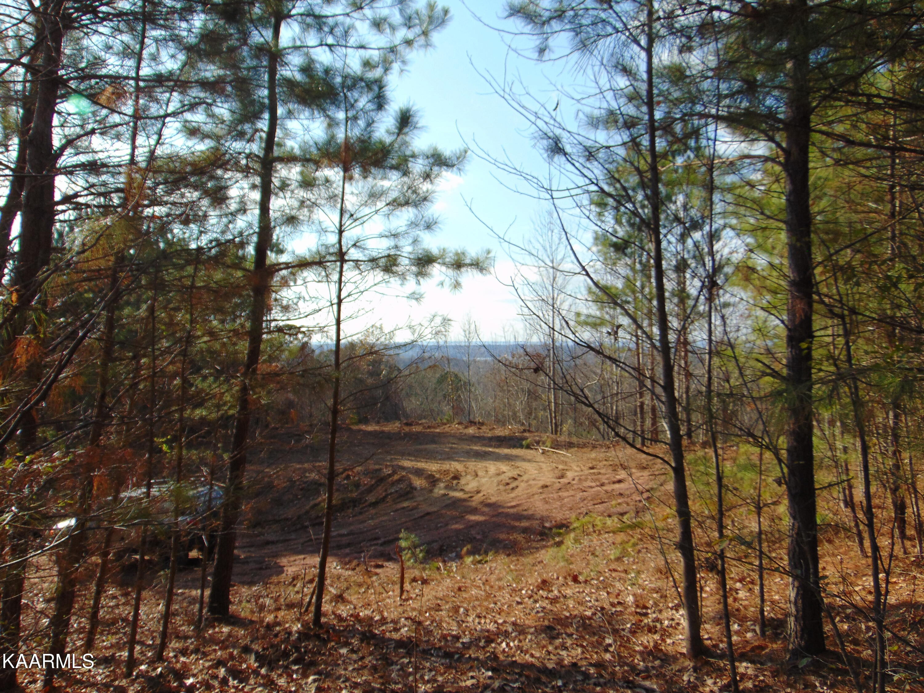 7.38-acres Lamontville Road Decatur, TN 37322 - Photo 28 of 60 DSC02013