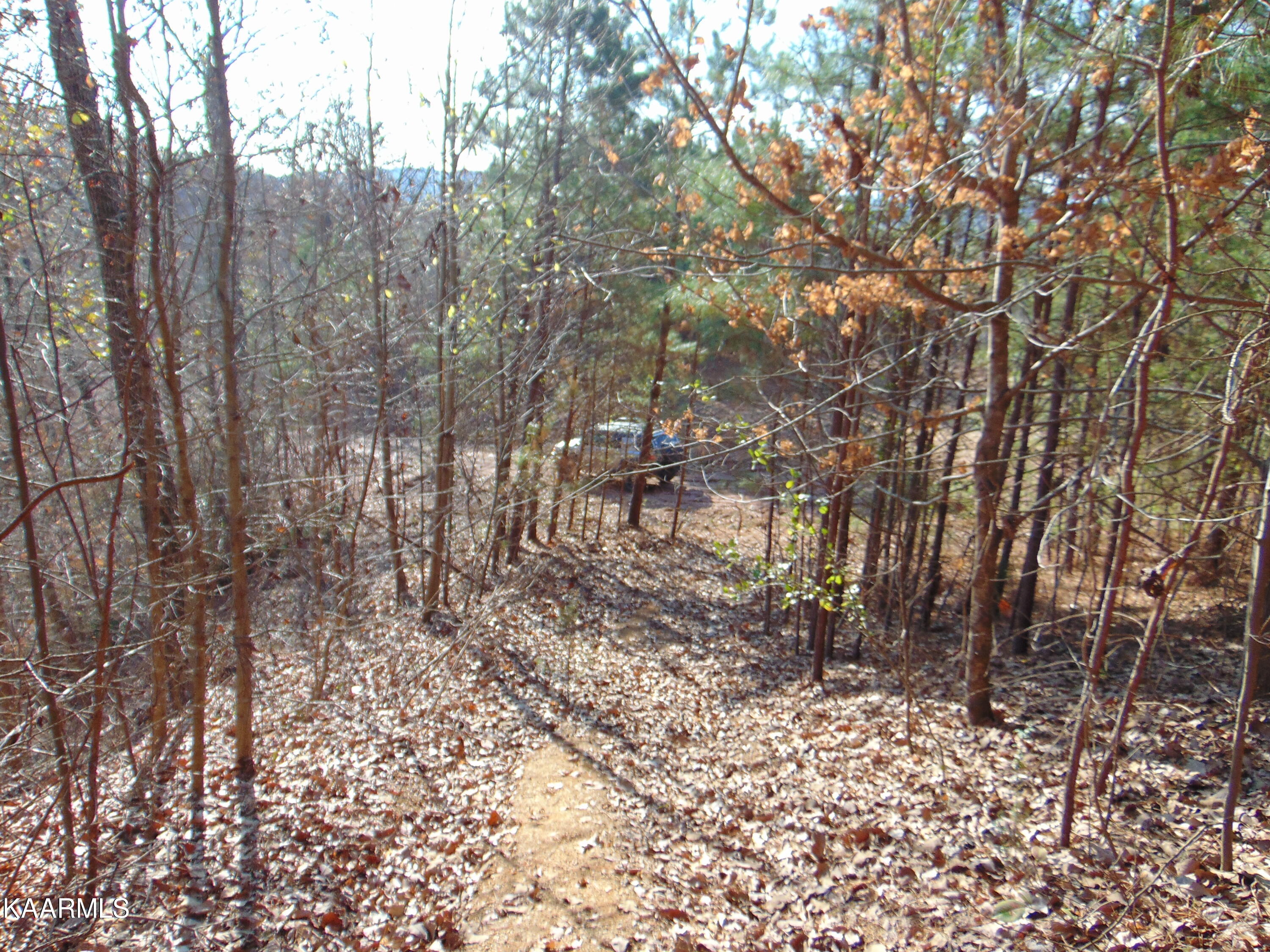 7.38-acres Lamontville Road Decatur, TN 37322 - Photo 29 of 60 DSC02012