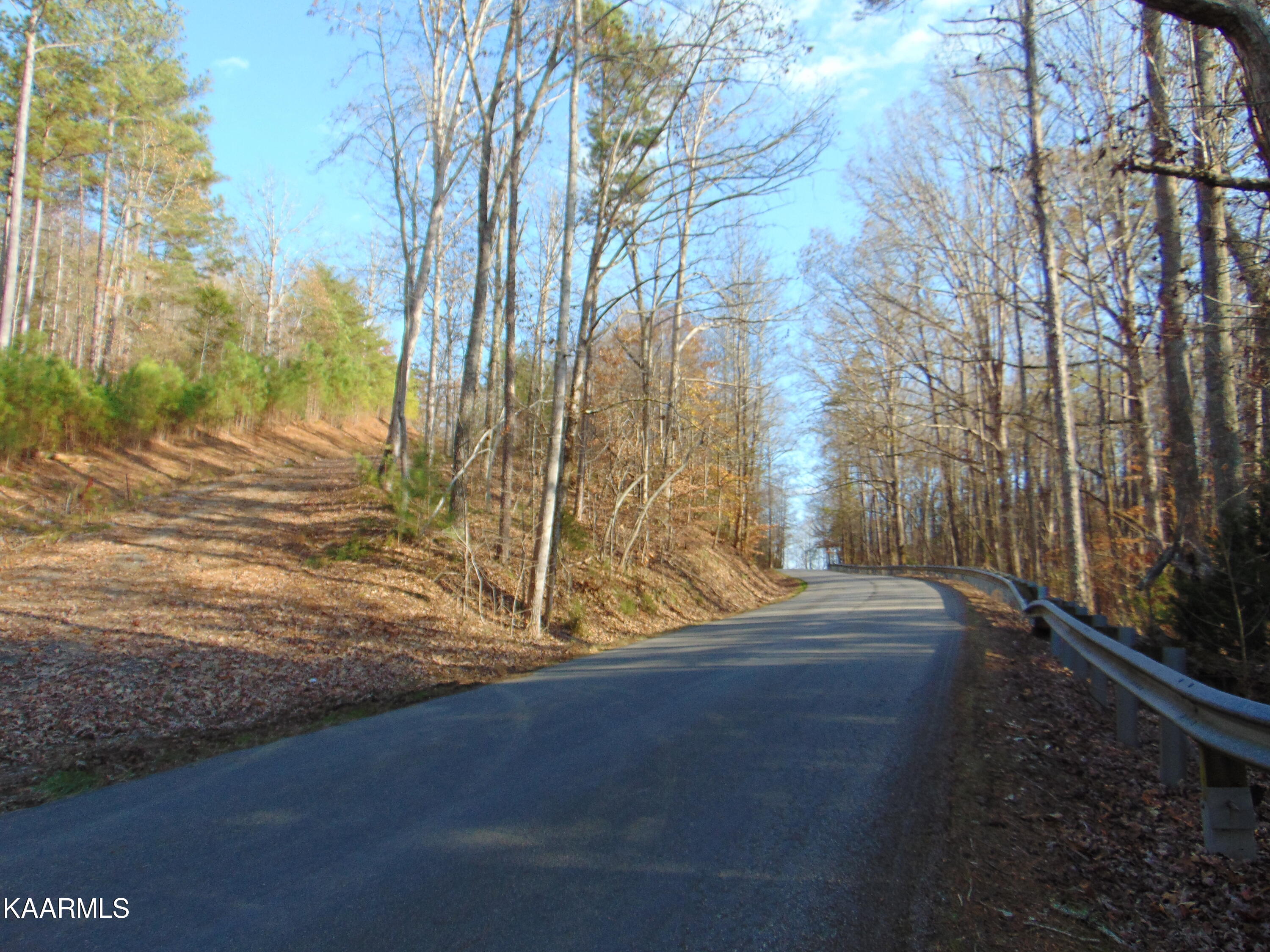 7.38-acres Lamontville Road Decatur, TN 37322 - Photo 3 of 60 DSC02039